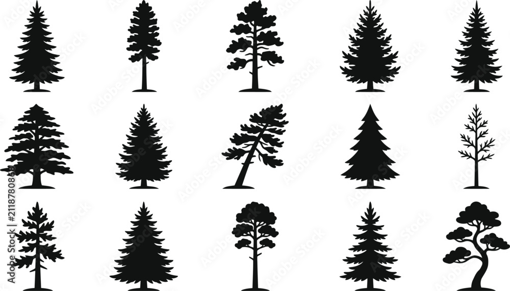 Fototapeta premium Set of pine and evergreen trees vector illustrations, forest silhouettes design elements