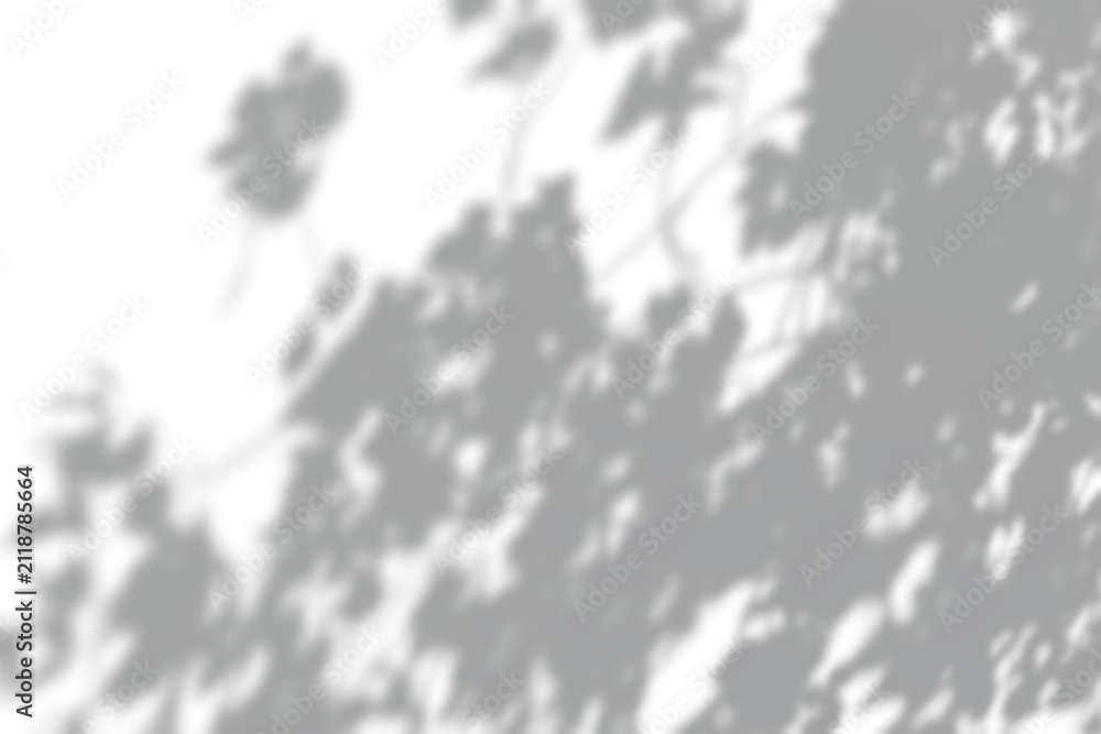 Fototapeta premium Natural foliage shadow projection on white wall, overlay design element.