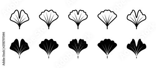 Leaf ginkgo biloba related vector linear and silhouette icons set. The collection includes various ginkgo leaf shapes, individual leaves, and decorative botanical elements.