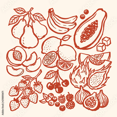 Vintage hand drawn fruit collection, rustic linocut style organic food illustrations, terracotta sketch of tropical and garden fruits vector set