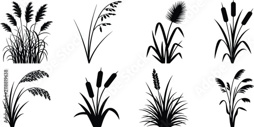 Bild auf Leinwand Black silhouette collection of various wetland grasses and reeds cattail bulrush