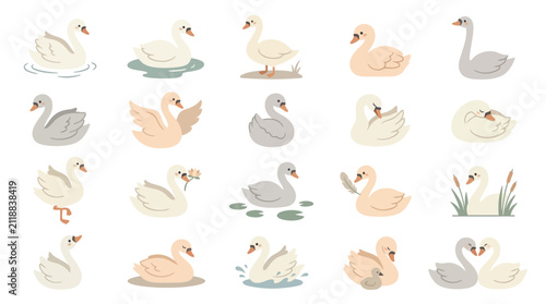 Obraz na plátně Set of cute cartoon swan illustrations in various poses and colors for design elements