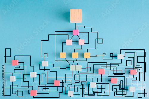 complex messy management, bureaucracy,red tape,organization and communication problems,business disruption, complicated decision tree