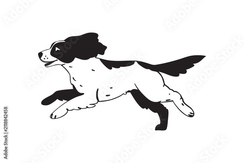 Running spaniel dog sketch, black and white hand drawn illustration.