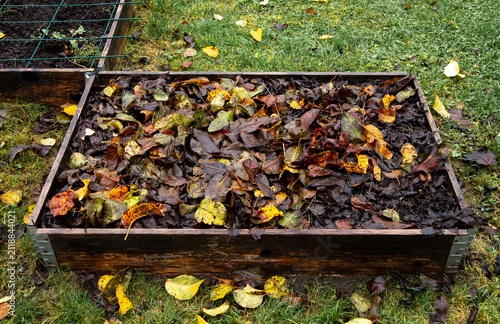 Fallen apple tree leaves in the home vegetable garden bed form a winter mulch layer that retains moisture, and as the leaves decompose, they add nutrients to the soil.