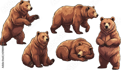 vector illustration clipart of bear with 5 poses semi realistic art style 01