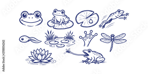 Cute pond frog doodle element set featuring lily pad tadpole lotus dragonfly and webbed foot, vector illustration