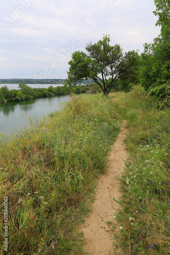 Sandy path winds through lush green meadow beside a calm river on an overcast day