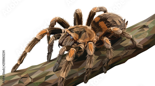 Detailed Vector Illustration of a Large Hairy Tarantula Spider Crawling on a Tree Branch Isolated on White Background