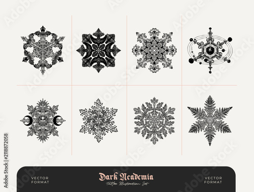 Vintage Christmas Snowflake Illustration Set | Victorian Winter Ornament Collection