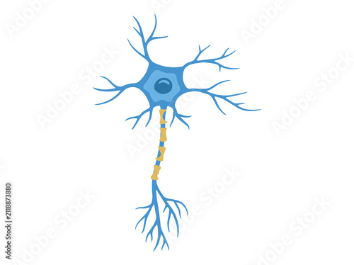 Multiple Sclerosis or Motor Neuron Disease