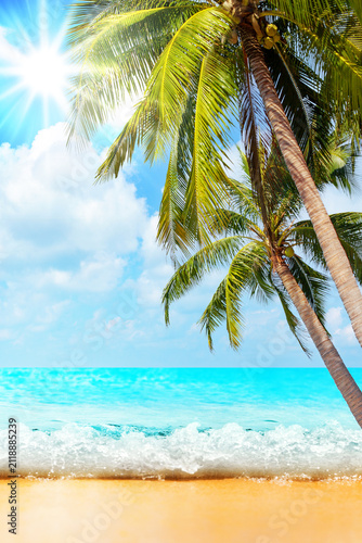 Sea beach landscape, paradise tropical island, green coconut palm tree leaves, turquoise ocean water wave, golden sand, exotic nature, sun blue sky white cloud, hot day, summer holiday vacation travel