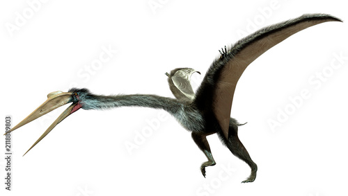 3D Rendering Dinosaur Quetzalcoatlus on White