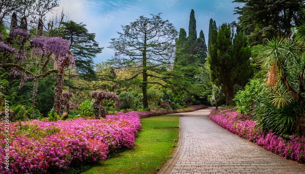 Obraz premium flowers and pathway in the arboretum in sochi