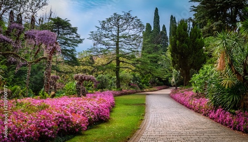 flowers and pathway in the arboretum in sochi