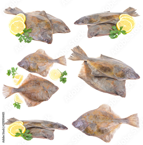 Fotografía Set flounder fish