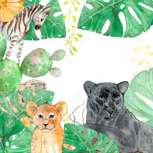 Photography watercolor frame  with wild animals zebra baby lion cub panter and plants on  fo
