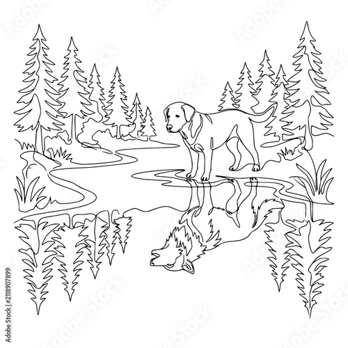 Dog's reflection in water, forest landscape with pine trees, line art illustration.