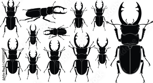 Foto Stag beetle silhouette collection, insect outline figure, entomology motif illus