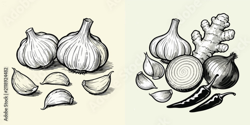 Fotografía Hand drawn ink illustration of garlic bulbs cloves ginger onion and chili pepper
