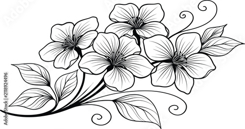 Flower vector illustration with hand drawn blossoms