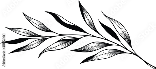 Branch vector illustration of foliage sketch design