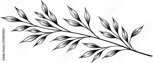 Leaf vector illustration of a long botanical branch