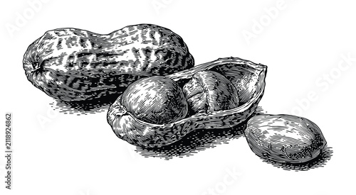 Peanut vector illustration of an organic snack set
