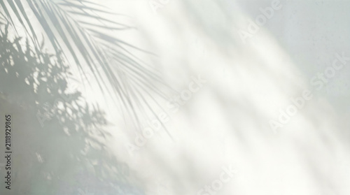 Minimal abstract shadow pattern on white wall, tropical palm leaf silhouette, soft sunlight texture for background design