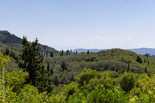 Corfu landscape featuring cypress and olive trees under sky