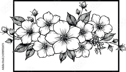 Flower vector illustration frame botanical art