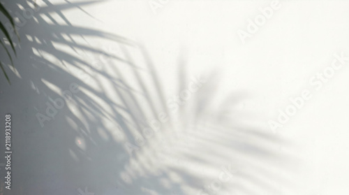 Obraz na plátne Abstract natural plant leaves shadow
