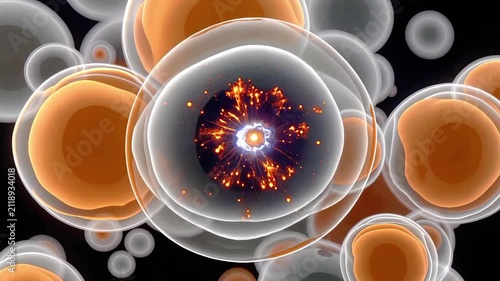 Microscopic View of Biological Cells Dividing and Interacting in a Scientific Environment.