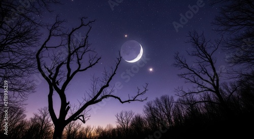 A beautiful night sky scene featuring a crescent moon and bright stars framed by the silhouettes of bare trees at twilight