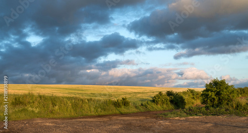 endless green and yellow field under dramatic sky
