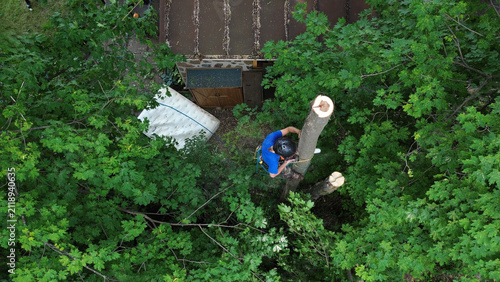 Un homme coupe des branches d'arbre. Un arboriste au travail. Émondeur.	
