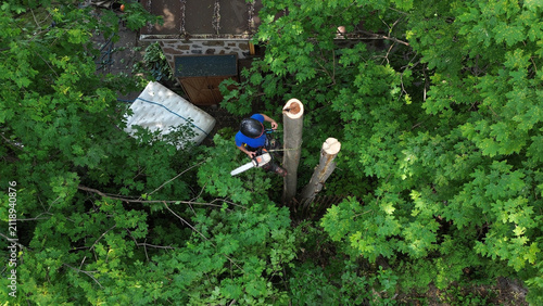 Un homme coupe des branches d'arbre. Un arboriste au travail. Émondeur.	
