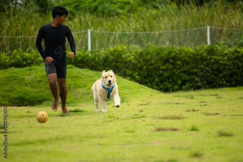 pets and pet sitter. Freedom run, Golden retriever running with asian boy sitter on the lawn. Happy dog plays and runs in park with green grass. outdoor activity