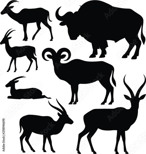 Photography Horned animals flat vector illustration