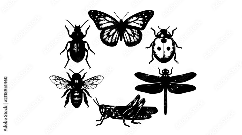Obraz premium Circular insect set with detailed wings, legs, and antennae featuring butterflies, bees, beetles, and dragonflies with vibrant colors and clean lines