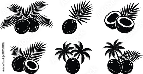 Coconut and Palm Tree Leaves Silhouette Icons Vector Set for Tropical Product Packaging and Logos