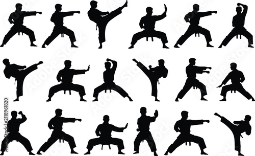 Fotografie Karate Silhouette Set, Martial Arts Action Poses, Black Vector Collection