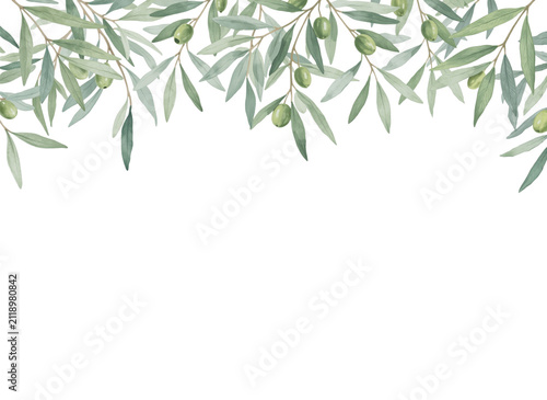 Watercolor olive branch top border with green olives and leaves on transparent
