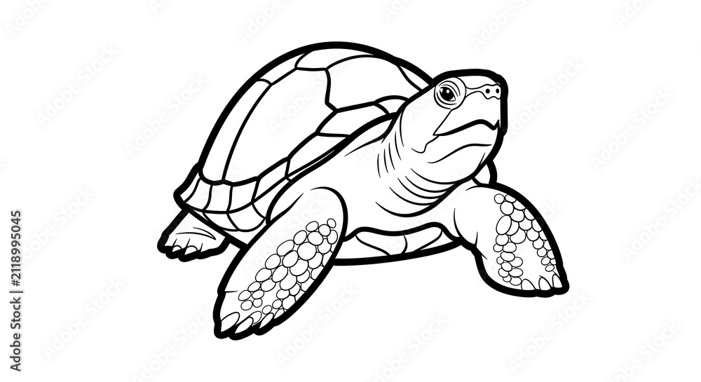 Fototapeta premium Turtle line art illustration. Hand drawn tortoise sketch for coloring book page.