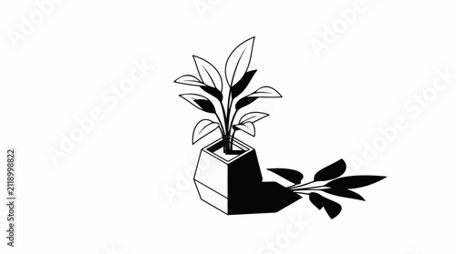 A minimalist line drawing of a potted plant casting a long shadow