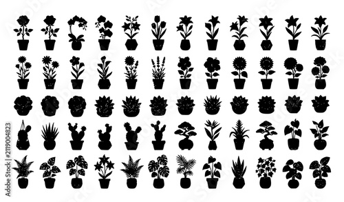 фотографія plant, flower, silhouette, vector, floral, botanical, pot, indoor, garden, bloss