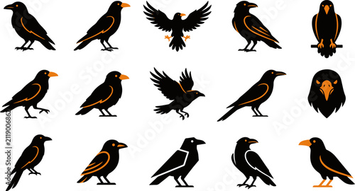 Canvastavla A collection of various raven bird illustrations showing different poses includi