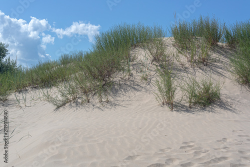 Sand dunes on the Black Sea coast. Soft sand on the beach. Ecology and cleanliness by the sea.