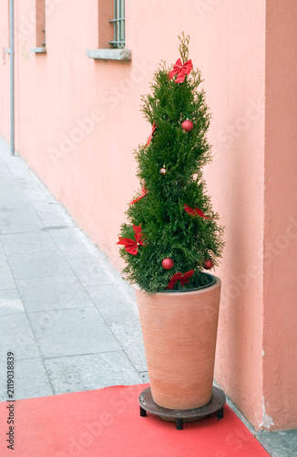 a small christmas tree at building entrance