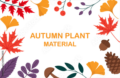 Autumn Leaves and Botanical Elements Vector Collection